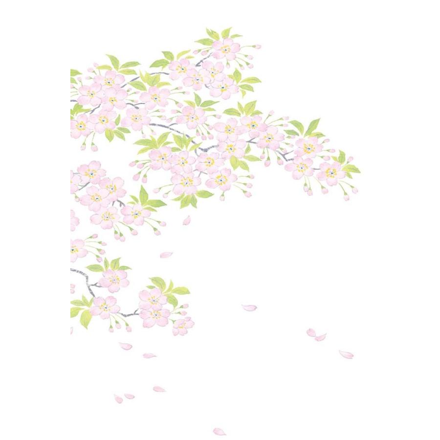 はがき 桜 春 和紙 葉書 和風 イラスト 花きらら Fps 714 桜 さくら ３枚入り 挨拶状 御礼状 ハガキ 入学 新学期 新年度 転任 引っ越し 福井朝日堂 Fps 714 F A Greetings 通販 Yahoo ショッピング