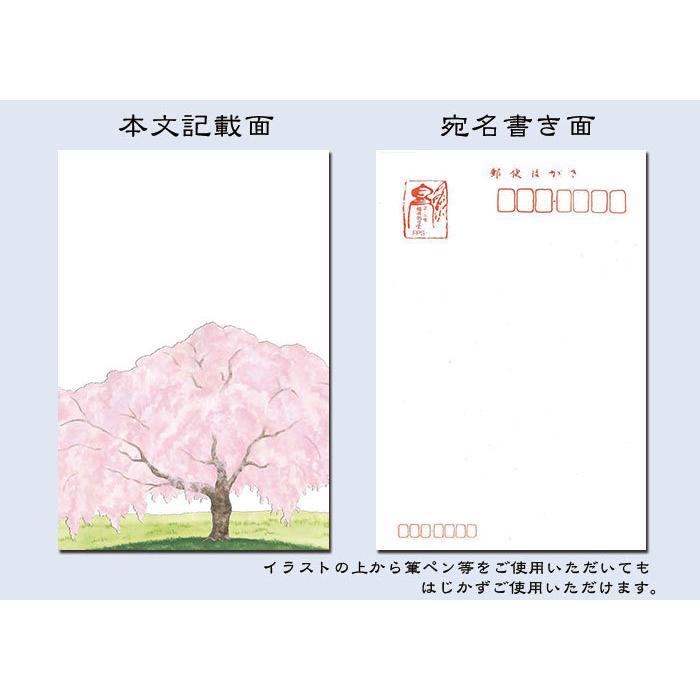 はがき 桜 春 和紙 葉書 和風 イラスト 花きらら Fps 725 桜 さくら ３枚入り 挨拶状 御礼状 ハガキ 入学 新学期 新年度 転任 引っ越し 福井朝日堂 Fps 725 F A Greetings 通販 Yahoo ショッピング