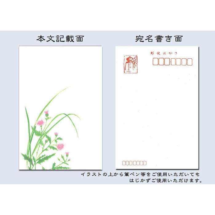 はがき ポストカード 絵葉書 あざみ 薊 21年 春 新作 花 和風 季節 春 夏 秋 花きらら Fps 736 あざみ 薊 ３枚入り イラスト 挨拶状 お礼 ハガキ 福井朝日堂 Fps 736 F A Greetings 通販 Yahoo ショッピング