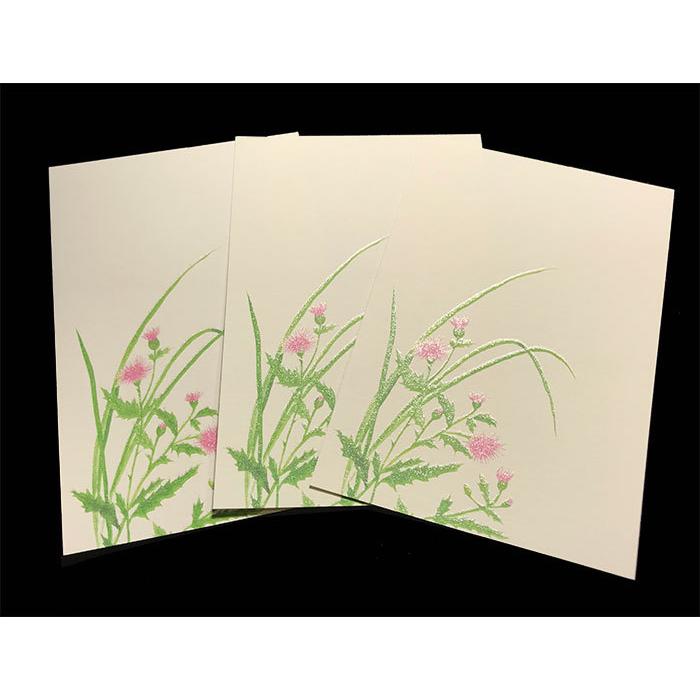 はがき ポストカード 絵葉書 あざみ 薊 21年 春 新作 花 和風 季節 春 夏 秋 花きらら Fps 736 あざみ 薊 ３枚入り イラスト 挨拶状 お礼 ハガキ 福井朝日堂 Fps 736 F A Greetings 通販 Yahoo ショッピング