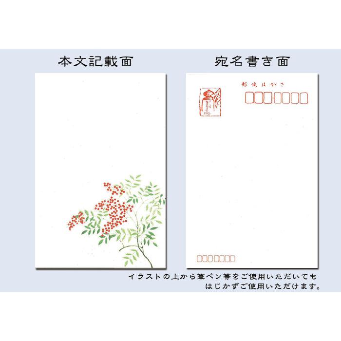 年賀 寒中見舞い ハガキ 和紙年賀状 和風【寿ぎ FPS-803 南天(なんてん