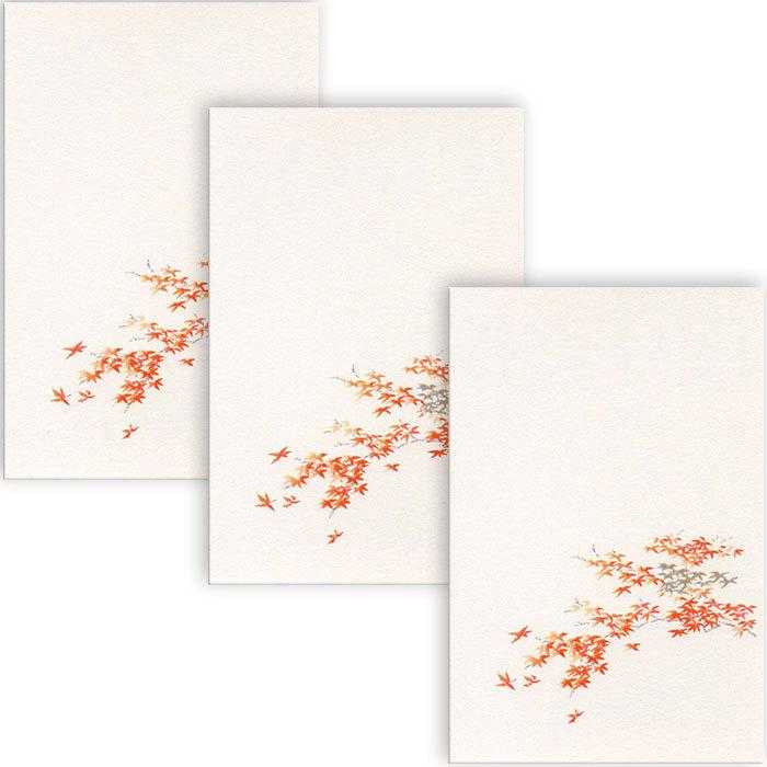史上最も激安 秋の絵葉書 メッセージポストカード 紅葉 Shipsctc Org