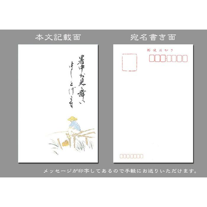 送料無料 暑中見舞い はがき 和風 イラスト 夏 和紙 お中元 御礼状【花  