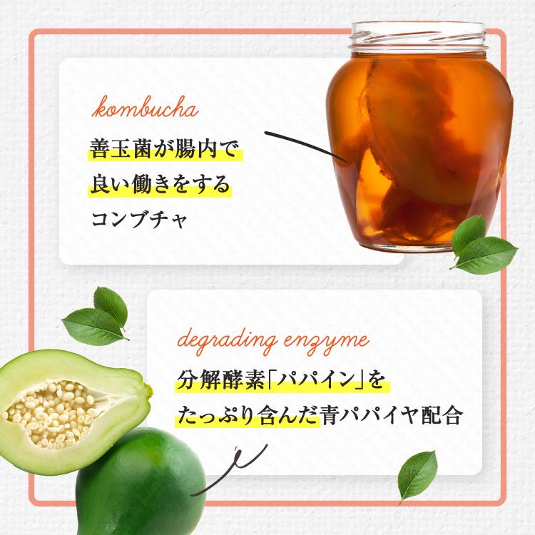 酵素ドリンク ファスティング ダイエット リムイット48plus 酵素ドリンク ファスティング ダイエット リムイット48plus