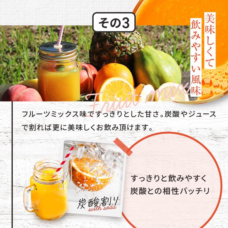 酵素ドリンク ファスティング リムイット48plus 700ml 2本セット 酵素ドリンク ファスティング リムイット48plus 700ml 2本セット