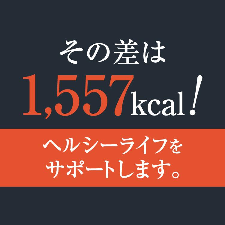 酵素ドリンク ファスティング リムイット48plus 700ml 2本セット 酵素ドリンク ファスティング リムイット48plus 700ml 2本セット