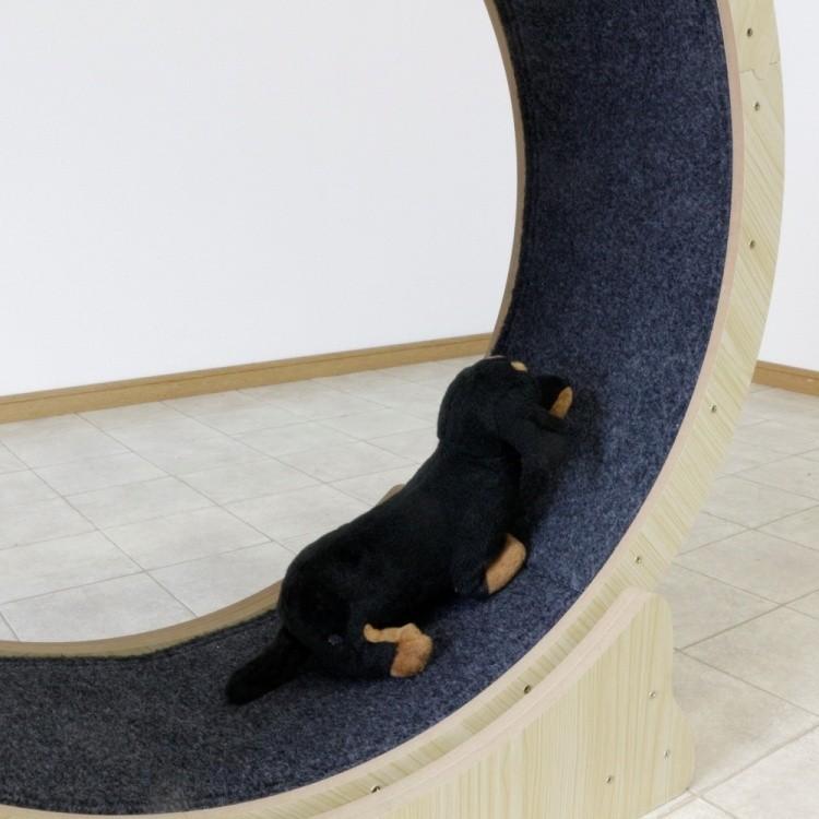 ペット 回転ホイール ドッグ キャット 室内 運動器具 ペット用品 運動不足 ストレス 解消 ベアリング内臓 ロック装置 犬 猫 動物 送料無料 