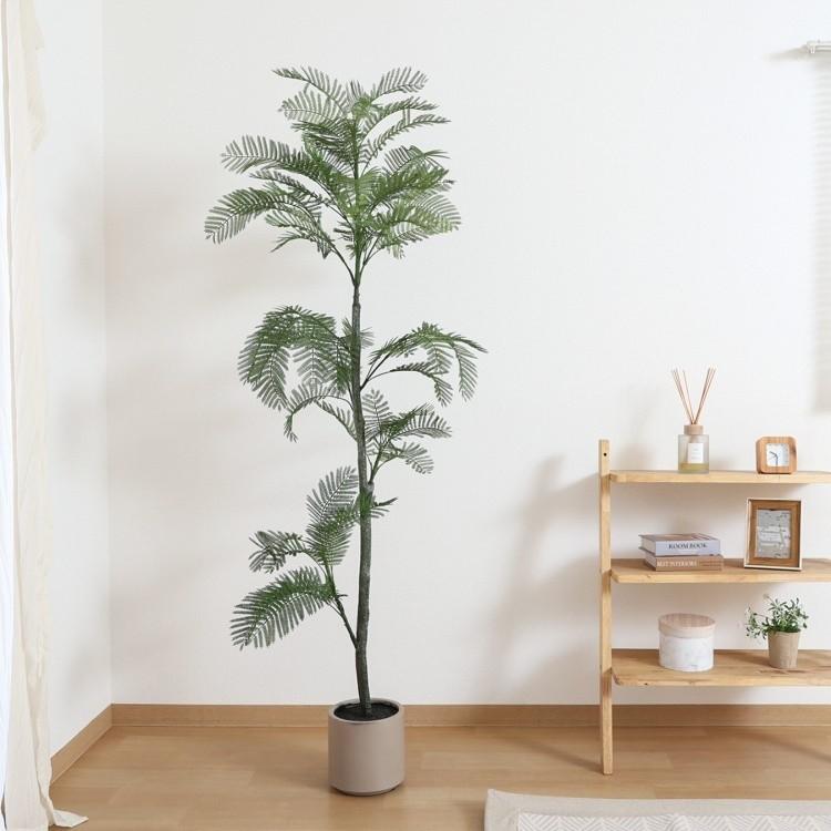 送料無料 人工観葉植物 フェイクグリーン ジャカランダ 高さ160cm（854） 人工 観葉植物 フェイクグリーン 高さ160cm ジャカランダ 造花 室内