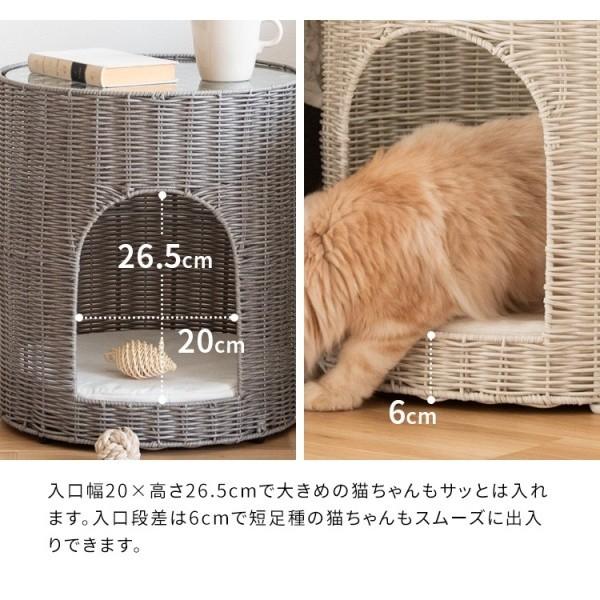 キャットハウス サイドテーブル 経40cm ラタン調 ガラス天板 テーブル