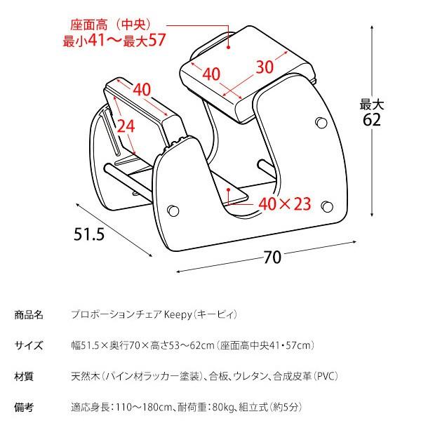 プロポーション チェア 身長110cm〜180cm対応 姿勢キープ リビング ダイニング デスク 学習 パソコン 在宅 ワーク 食卓 イス インテリア 家具 送料無料の画像