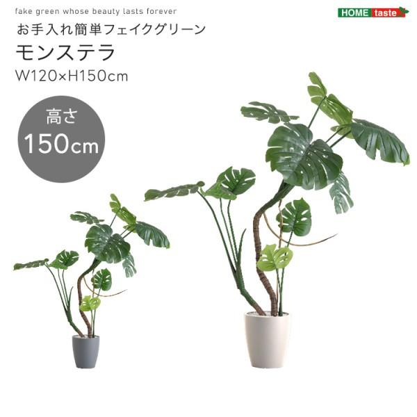 人工 観葉植物 モンステラ 高さ150cm Mサイズ フェイクグリーン 観賞用 造花 植物 室内 ガーデニング ガーデン グリーン リビング 玄関 インテリア 送料無料の画像