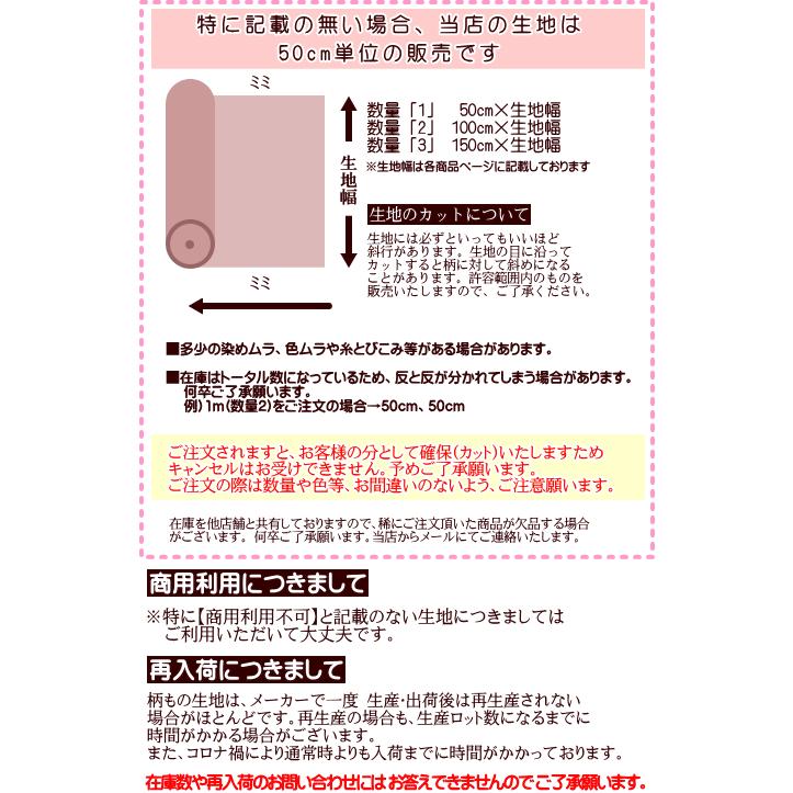 生地 ツイル生地 恐竜大行進 海の恐竜 通園通学 入園入学 恐竜 ダイナソー 綿100% 男の子 こども かっこいい｜fairy-lace｜23