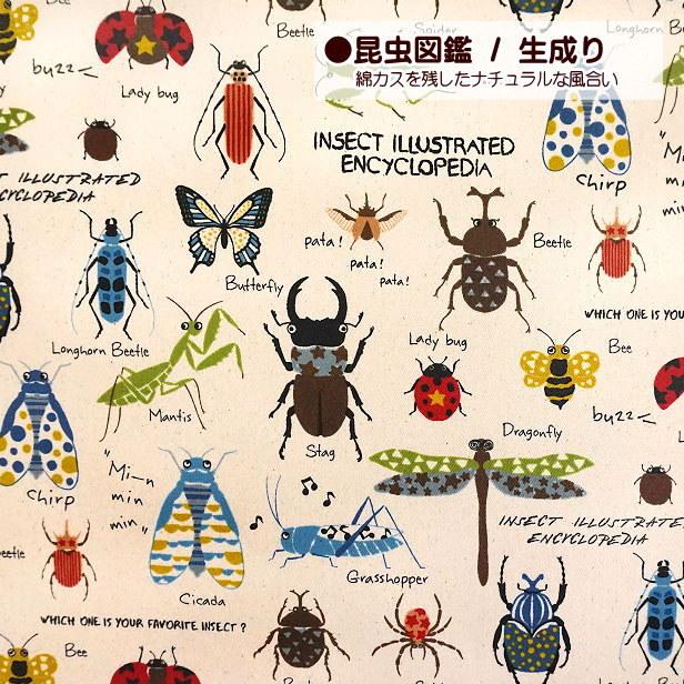 ラミネート生地 昆虫 図鑑 恐竜 大行進 昆虫柄 恐竜柄 ダイナソー