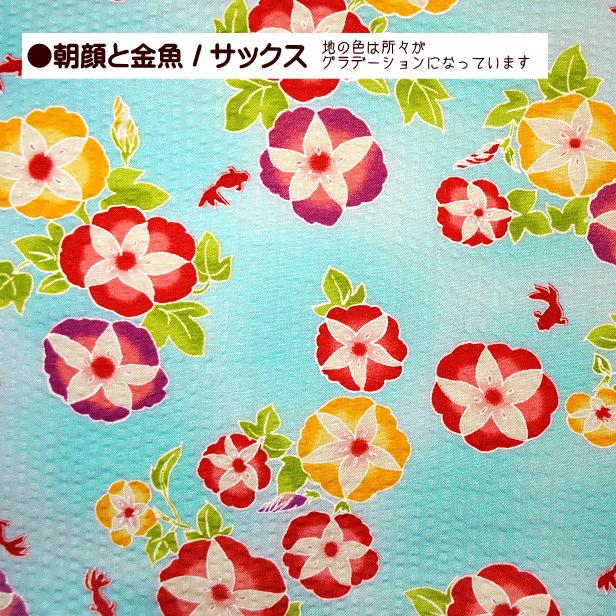 リップル 生地 和風 朝顔 と 金魚 あさがお きんぎょ 夏向き 涼し気げ