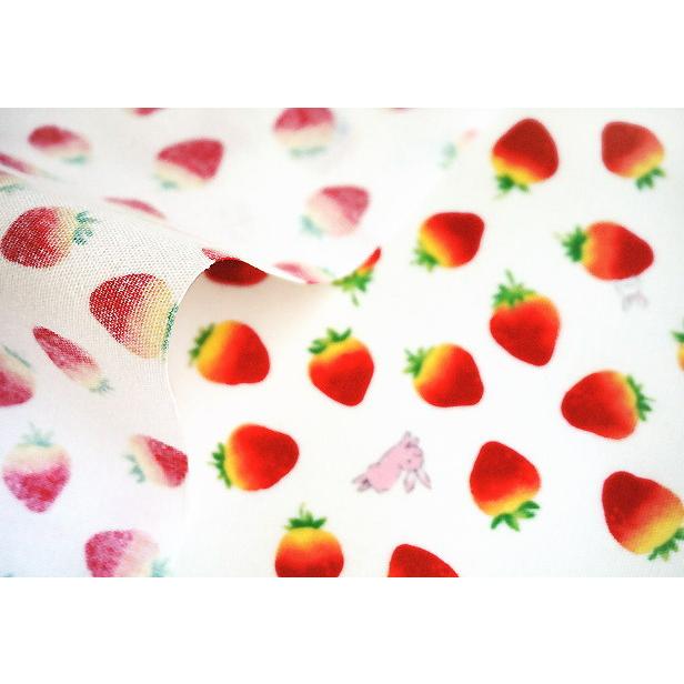 ラミネート 生地 いちご と ウサギ 小 苺 うさぎ 小さめ柄 女の子