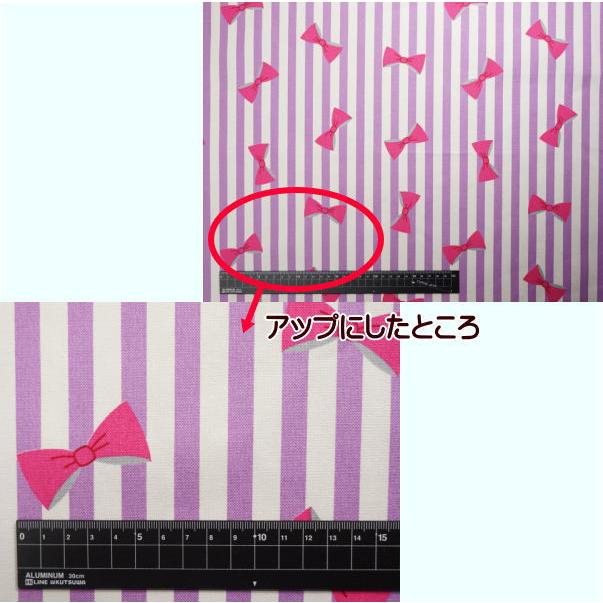 生地 キャンバス キャンバス生地 ストライプリボン プリント生地