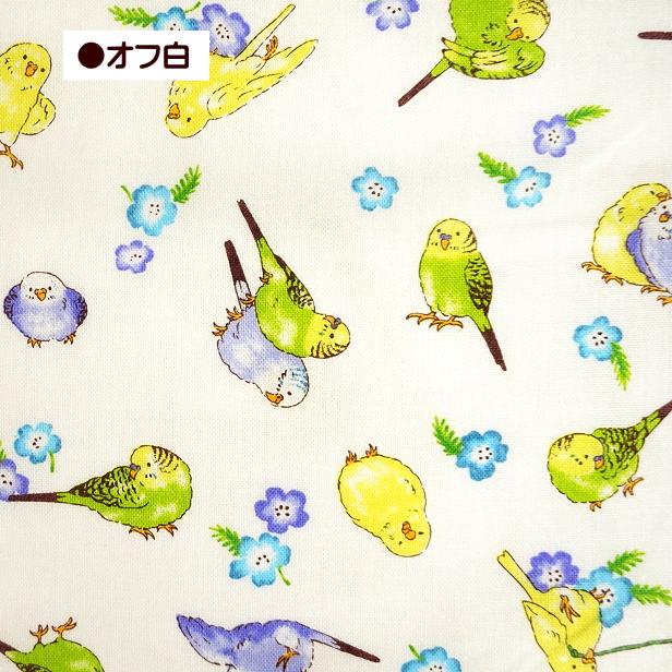 シーチング 生地 インコとお花 総柄 インコ 小花 小鳥 バード 綿100
