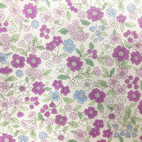 ☆20 ダブルガーゼ ☆ 生地 はぎれ アリス ミント  kook ☆20 ダブルガーゼ ☆ 生地 はぎれ アリス ミント kook