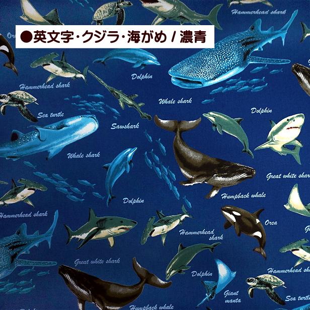 オックス 生地 シャチ サメ 海の泡 鮫 さめ柄 クジラ柄 英文字 魚 海の