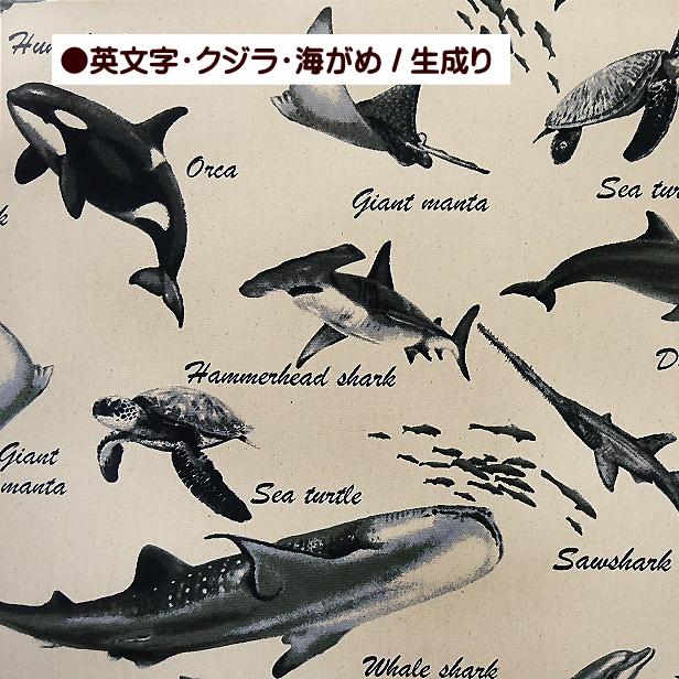 オックス 生地 シャチ サメ 海の泡 鮫 さめ柄 クジラ柄 英文字 魚 海の
