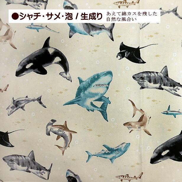 オックス 生地 シャチ サメ 海の泡 鮫 さめ柄 クジラ柄 英文字 魚 海の