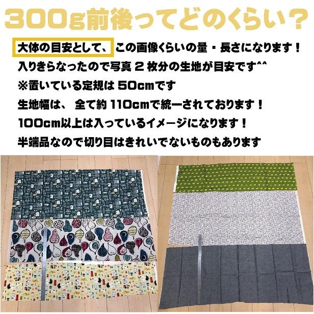 目玉商品 ハギレセット 半端品 端切れセット お得 グラム販売 300g