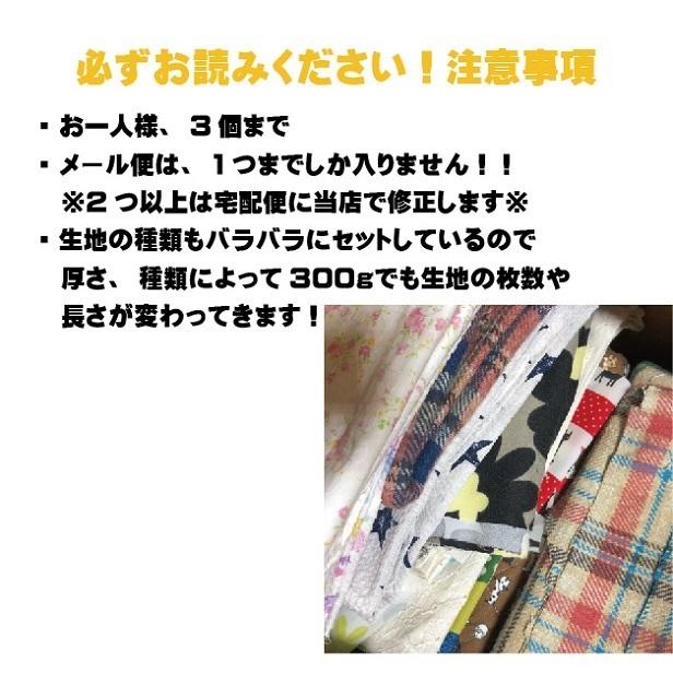 目玉商品 ハギレセット 半端品 端切れセット お得 グラム販売 300g