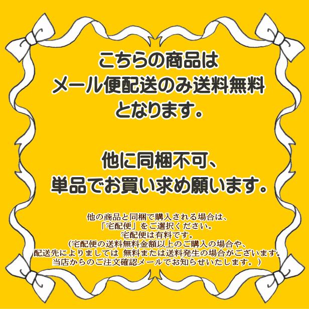 レッスンバッグ キルティング オリジナル 恐竜 送料無料 切替付き 恐竜柄 裏地付き かっこいい おしゃれ 手提げバッグ A4 通園 通学 男の子 かっこいい｜fairy-lace｜12