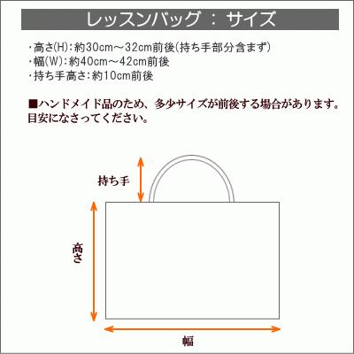 レッスンバッグ キルティング 電車 図鑑 裏地付き 内ポケット付き