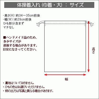 巾着 /大/ 体操着入れ 1点 恐竜ワッペン 恐竜柄 男の子 着替え袋 巾着
