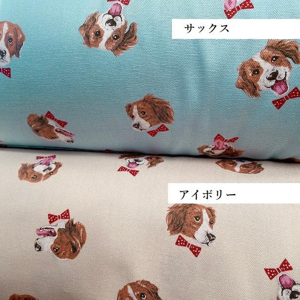 オックス 生地 デコピン 蝶ネクタイ をつけた コーイケルホンディエ 犬