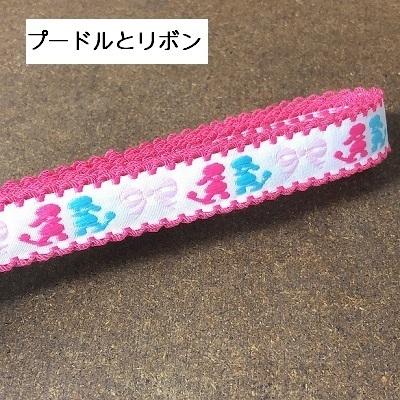SALE！チロルテープ3ヤード（他店ではチロリアンテープとも呼ばれてい