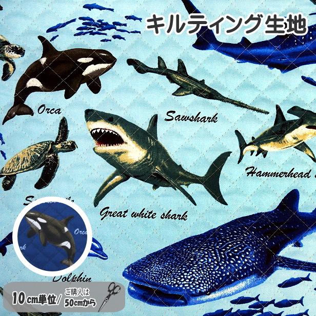 1234abcd★海の生き物、サメ柄キルティング☆ 10cm単位の価格 / キルティング 生地 英文字 サメ クジラ 海がめ柄