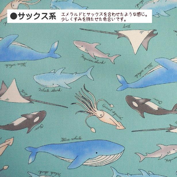 ラミネート 生地 海の生き物 柄 クジラ シャチ エイ 巨大イカ サメ Tip