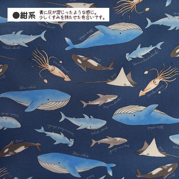 ラミネート 生地 海の生き物 柄 クジラ シャチ エイ 巨大イカ サメ Tip
