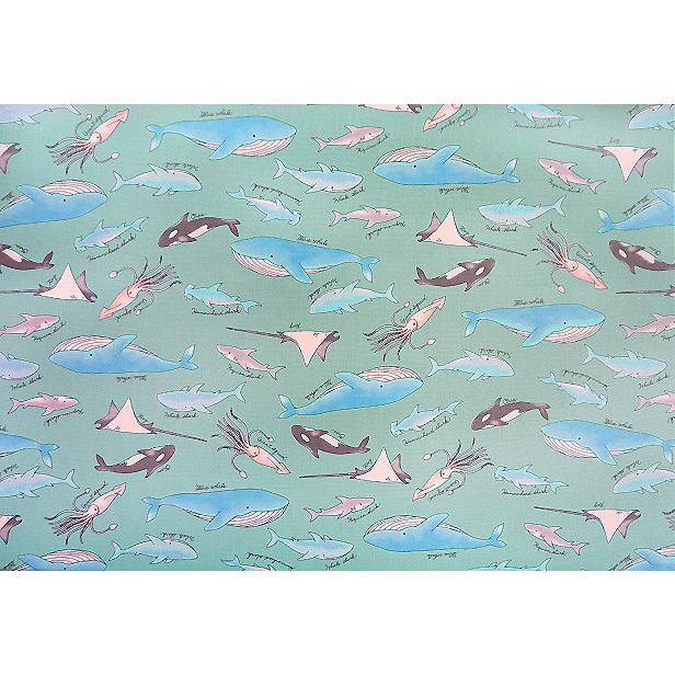 ラミネート 生地 海の生き物 柄 クジラ シャチ エイ 巨大イカ サメ Tip