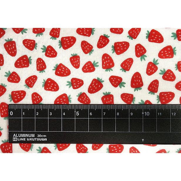 10cm単位 ダブルガーゼ 生地 ベビー ストロベリー いちご柄 ミニ柄 苺