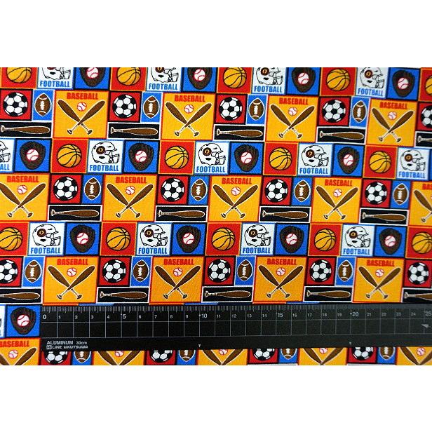USAコットン パネル柄 スポーツ Camelot Fabrics シーチング 生地