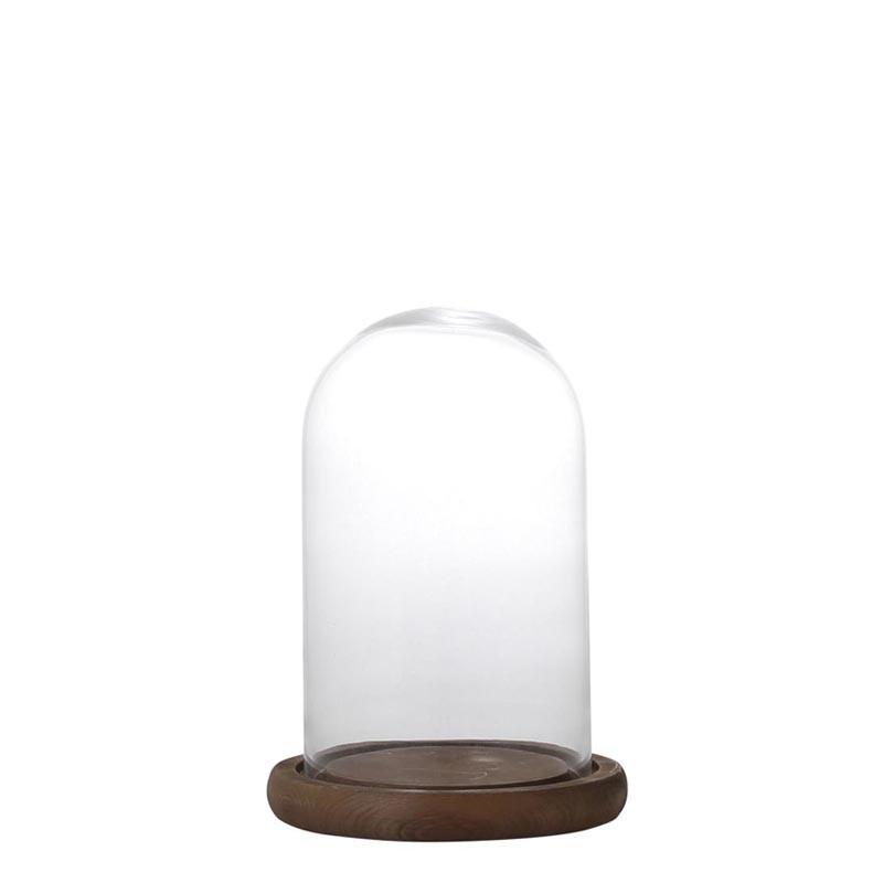 ガラスドーム ガラスケース ディスプレイドーム Ddxs Dome Ddxs フェアリーランド 通販 Yahoo ショッピング