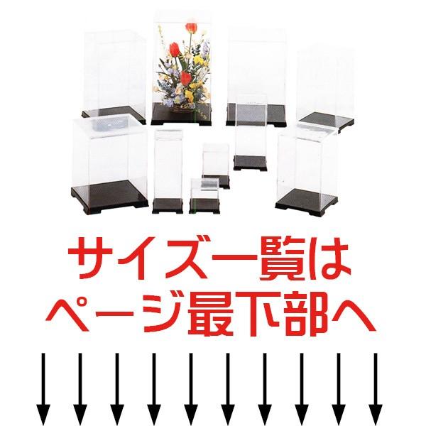 フェアリーランド W24cm D24cm H55cm 人形ケース 背面金張り 台座フェルト 送料込