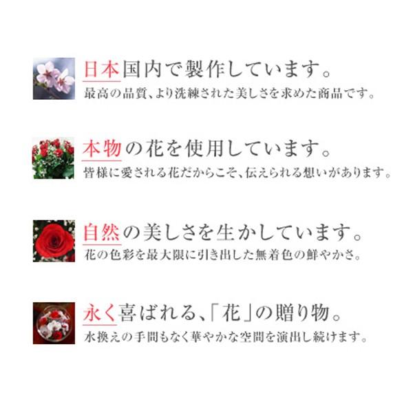 レンデフロール カトレア 胡蝶蘭 バラ デルフィニューム かすみ草