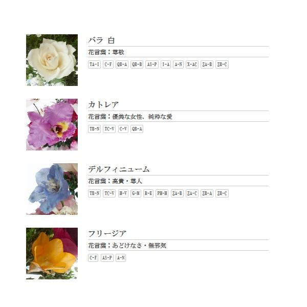 レンデフロール カトレア 胡蝶蘭 バラ デルフィニューム かすみ草