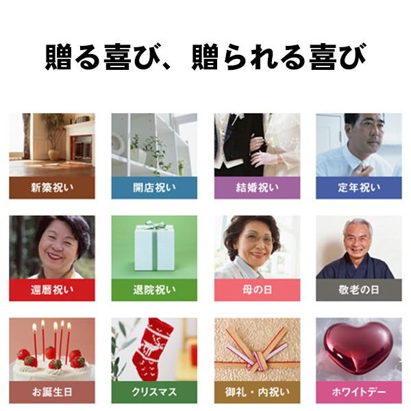 レンデフロール 胡蝶蘭 バラ かすみ草 ドライフラワー ボトルフラワー B-L 送料無料 花ギフト 花束 お祝い プレゼント 記念品 生花 インテリア レンデフロール 胡蝶蘭 バラ