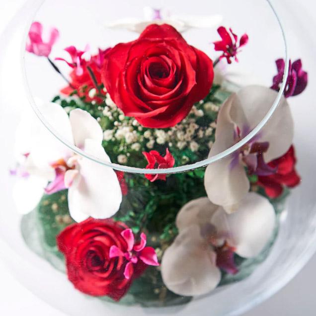 レンデフロール 胡蝶蘭 バラ かすみ草 ドライフラワー ボトルフラワー B-L 送料無料 花ギフト 花束 お祝い プレゼント 記念品 生花 インテリア レンデフロール 胡蝶蘭 バラ