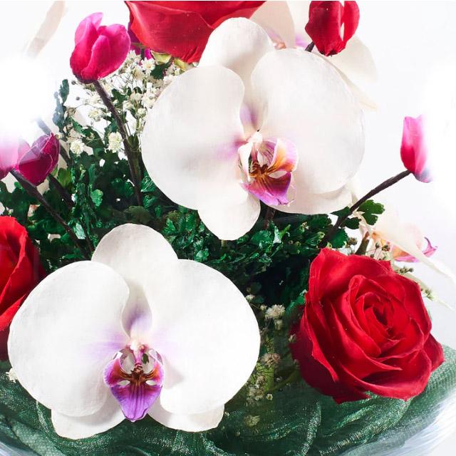 レンデフロール 胡蝶蘭 バラ かすみ草 ドライフラワー ボトル