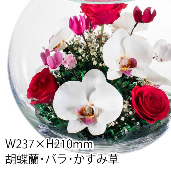 レンデフロール 胡蝶蘭 バラ かすみ草 ドライフラワー ボトルフラワー B-L 送料無料 花ギフト 花束 お祝い プレゼント 記念品 生花 インテリア レンデフロール 胡蝶蘭 バラ