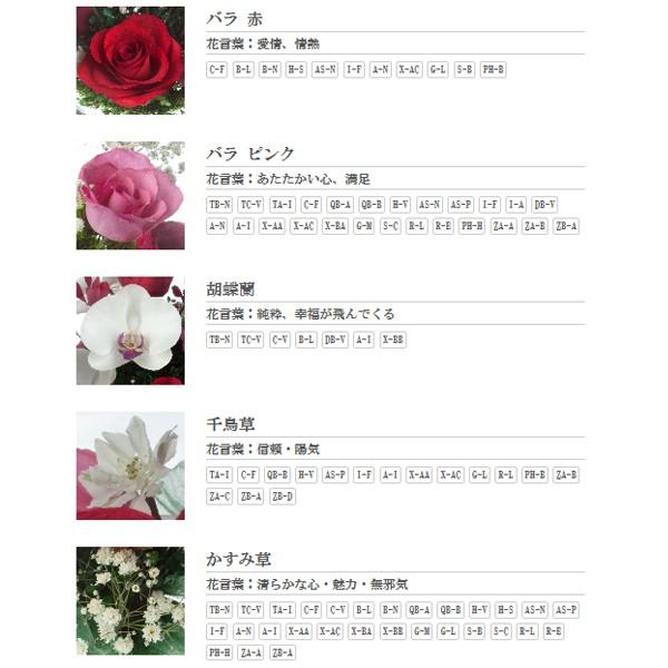 レンデフロール 胡蝶蘭 バラ かすみ草 ドライフラワー ボトルフラワー B-L 送料無料 花ギフト 花束 お祝い プレゼント 記念品 生花 インテリア レンデフロール 胡蝶蘭 バラ