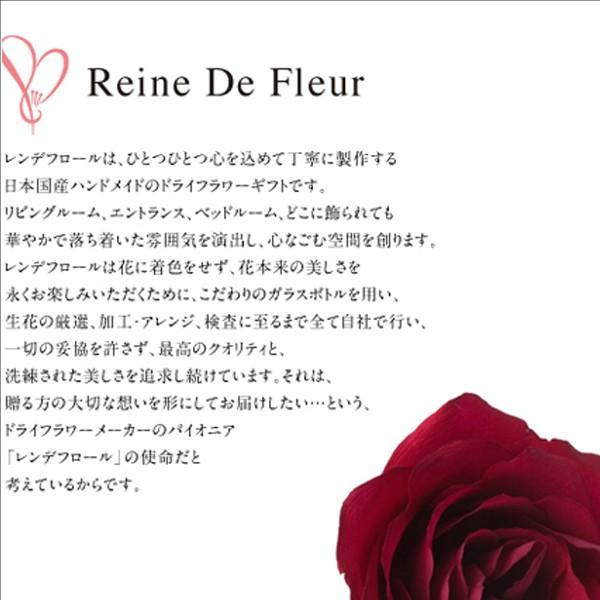 レンデフロール 胡蝶蘭 バラ かすみ草 ドライフラワー ボトルフラワー B-L 送料無料 花ギフト 花束 お祝い プレゼント 記念品 生花 インテリア レンデフロール 胡蝶蘭 バラ