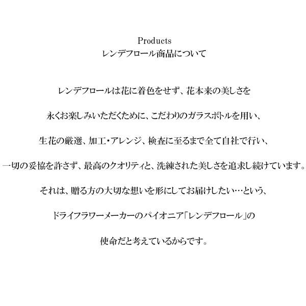 レンデフロール 胡蝶蘭 バラ かすみ草 ドライフラワー ボトルフラワー B-L 送料無料 花ギフト 花束 お祝い プレゼント 記念品 生花 インテリア レンデフロール 胡蝶蘭 バラ