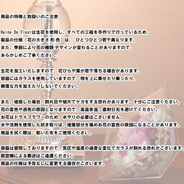 レンデフロール 胡蝶蘭 バラ かすみ草 ドライフラワー ボトルフラワー B-L 送料無料 花ギフト 花束 お祝い プレゼント 記念品 生花 インテリア レンデフロール 胡蝶蘭 バラ